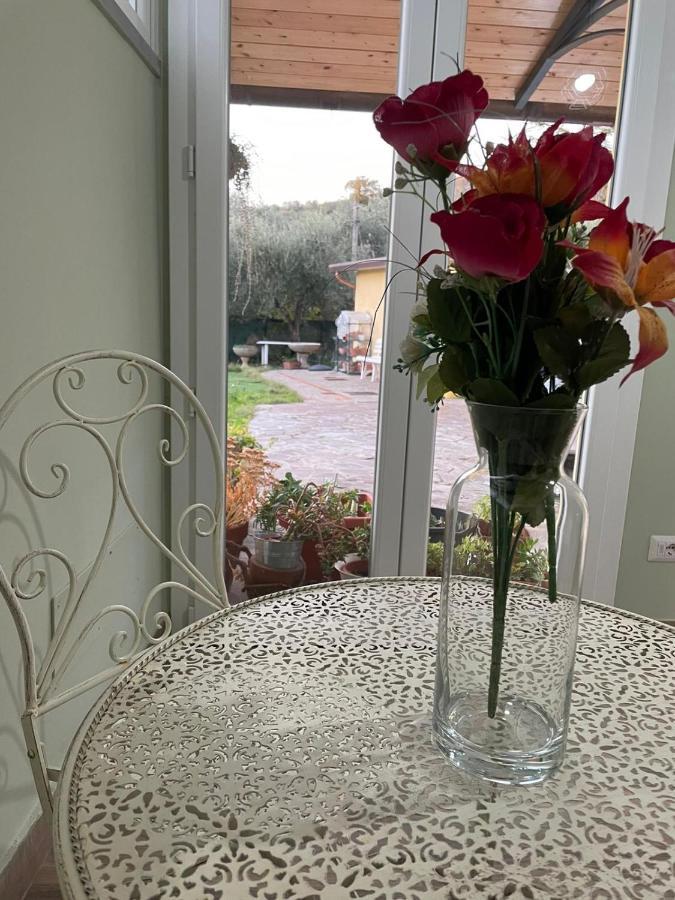 Sassaia11 Villa Arezzo Dış mekan fotoğraf